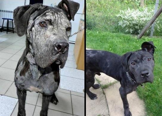 a kuku, to ja Człowieki -WASZ GLADIATOR ! 